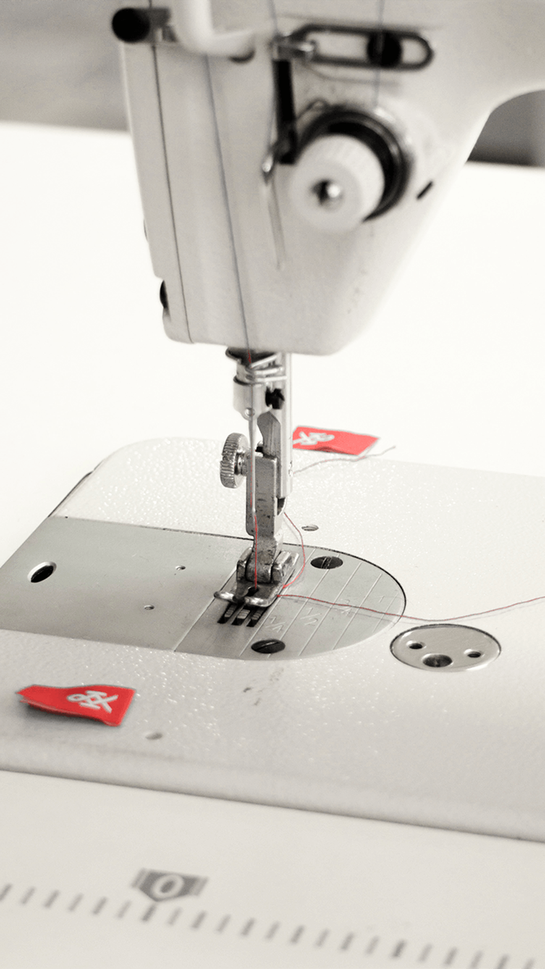 Hechos en México - Kanaus