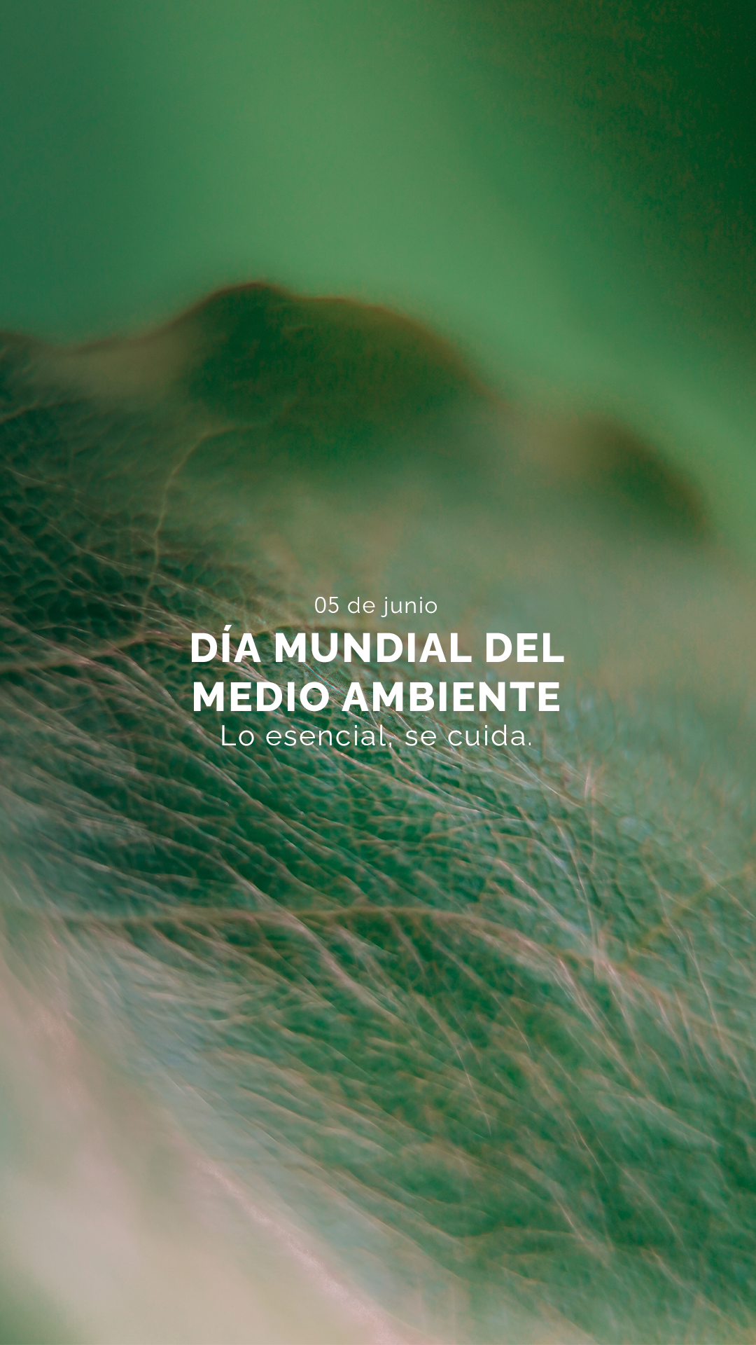 WORLD ENVIRONMENT DAY 25