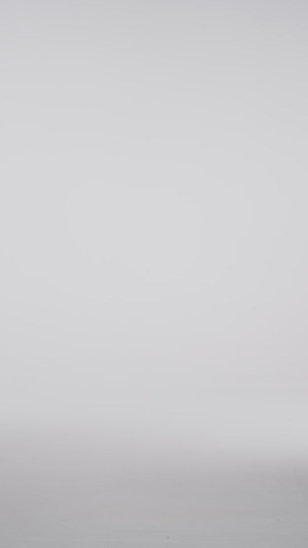 updated#gid://shopify/Video/21791163154490#video_id